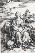 Albrecht Durer The Madonna with the Monkey Spain oil painting artist
